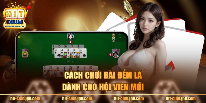 Cách chơi bài đếm lá dành cho hội viên mới