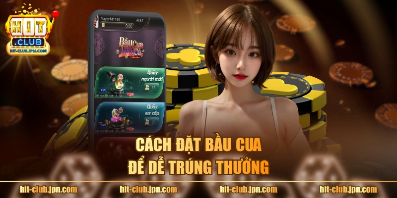 Cách đặt bầu cua để dễ trúng thưởng