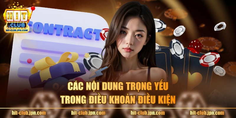 Các nội dung trọng yếu trong điều khoản điều kiện