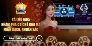 Tài Xỉu MD5 - Khám Phá Cơ Chế Giải Mã Minh Bạch, Chuẩn Xác 